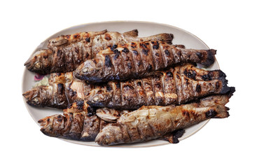Grillied trouts on the plate