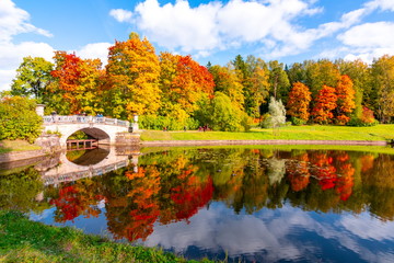 Autumn foliage in Pavlovsky park, Pavlovsk, St. Petersburg, Russia