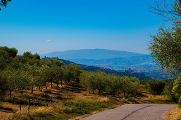 Panoramic view of the Basilica in Assisi two