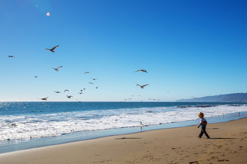 Obraz premium Happy and free boy on the beach with seagulls