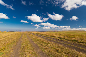 Fototapeta na wymiar Meadow. Haystacks landscape