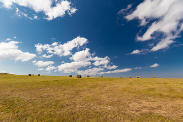 Fototapeta premium Meadow. Haystacks landscape