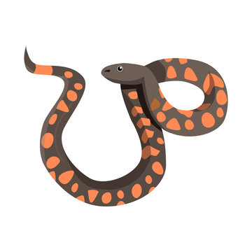 Vector design of serpent and viper logo. Graphic of serpent and rattlesnake vector icon for stock.