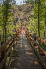 Bonito caminho sobre a ponte na floresta