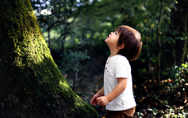 Cute little curious boy standing in deep dark forest at old tree covered with green moss looking up waiting for magic. Inquisitive childhood.
