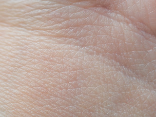 Skin macro texture with a vein