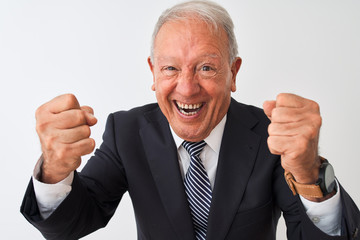 Senior grey-haired businessman wearing suit standing over isolated white background very happy and excited doing winner gesture with arms raised, smiling and screaming for success