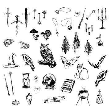 Big set of hand drawn decoration design elements for halloween party. Medieval magic objects and animals painted by ink. Grunge style vector black sketch illustration isolated on white background