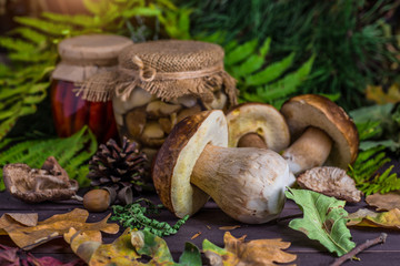 Mushroom Boletus in wooden wicker basket. Boletus edulis over Wood Background, close up on rustic table.  Cooking delicious organic mushroom. Gourmet food,Autumn Cep Mushrooms. Mushrooms Picking