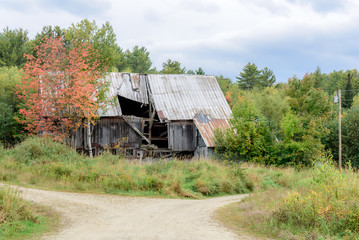 Old  Weathered Wooden Countryside Dilapidated Overgrown Wooden Barn in the State of Maine