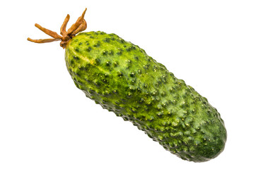 Cucumber close-up 3d rendering with realistic texture