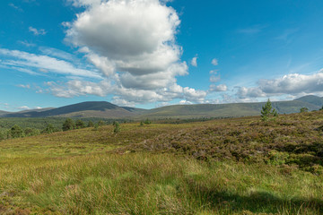 Picturesque sunny view in Scottish Highlands, Cairngorms National Park near Lecht Ski Resort, Scotland, United Kingdom, Europe