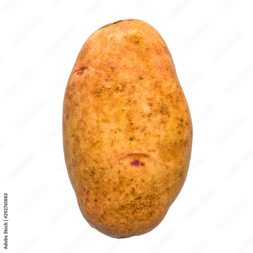 Poster potato close-up 3d rendering with realistic texture