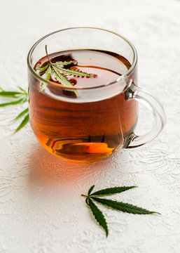 Cup of CBD Tea. The cup of tea with marijuana and fresh green leaves on the white background.