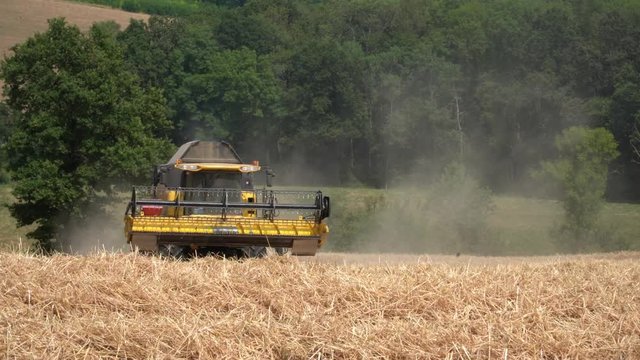 Une moissonneuse r&eacute;colte le bl&eacute; dans un champ au soleil entour&eacute; d'arbres