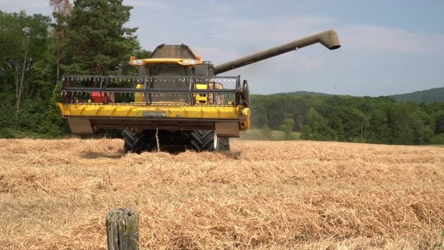 Machine agricole moissonneuse en action dans un champs de blé 