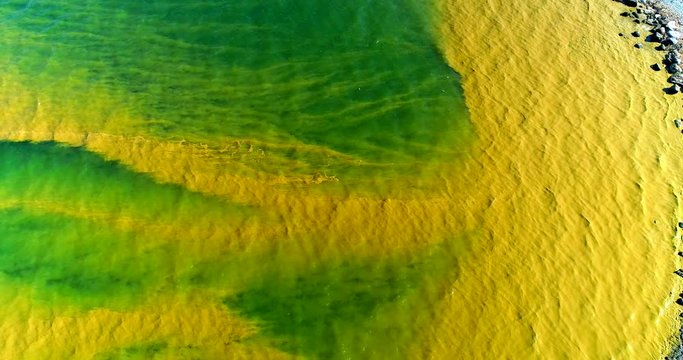 Surface Accumulations With Blue-green Algae Concentrations In The Baltic Sea