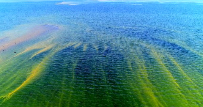 Surface Accumulations With Blue-green Algae Concentrations In The Baltic Sea