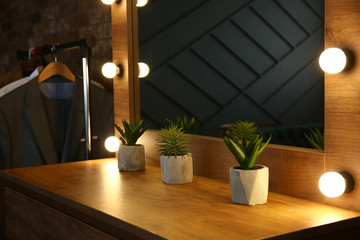 Table with mirror and plants in modern dressing room