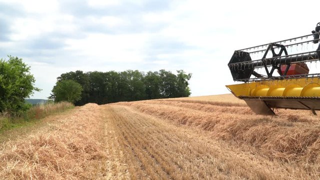 Moissonneuse r&eacute;colte dans un champs de bl&eacute;