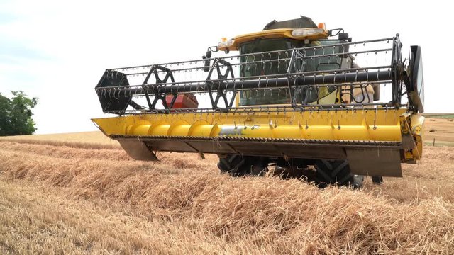 Moissonneuse-batteuse r&eacute;colte dans un champs de bl&eacute;