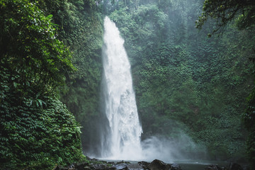 Powerful Nung-Nung Bali waterfall in rainforest. Travel concept.