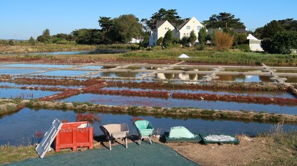 Marais salants de Guérande, en Loire-Atlantique (France)