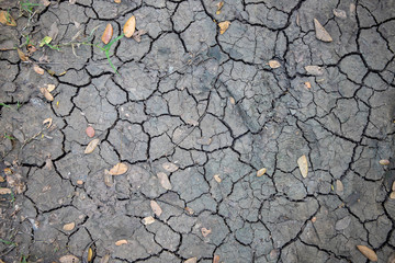 Cracked soil with autumn leaf. Grungy arid land photo texture. Drought land top view. Grey cracked...