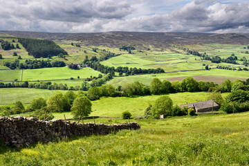 Tree lined River Swale in Swaledale with greystone walls and sheep farms with moorland on top of Fremington Edge Fremington Richmond England