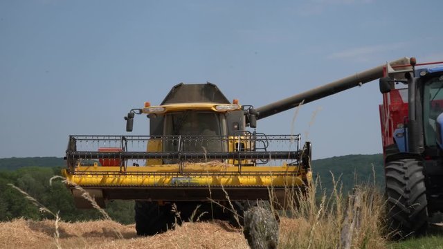 Moissonneuse-batteuse r&eacute;colte dans un champs de bl&eacute;