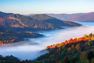 beautiful autumn landscape with valley fog. wonderful nature scenery at sunrise. mountain ridge in the distance.