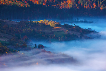 beautiful autumn landscape with valley fog. wonderful nature scenery at sunrise. trees in colorful...