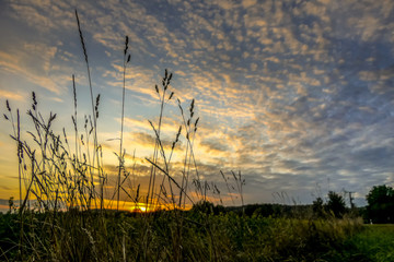 Obraz premium Abend über den Feldern