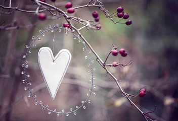 Heart decoration hanging on the tree