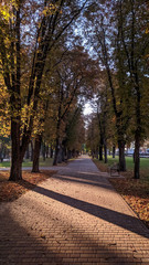 autumn in the park