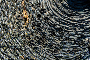 Detail of the solidified lava formations at Santiago Island, Galapagos.