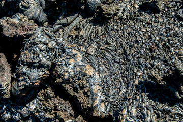 Detail of the solidified lava formations at Santiago Island, Galapagos.