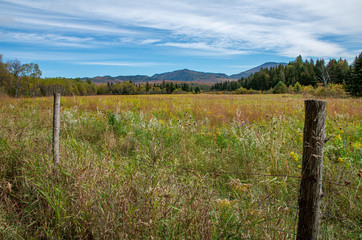 Obraz premium Fall foliage in the Adirondack Mountains