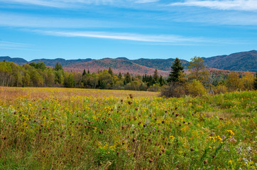 Fall foliage in the Adirondack Mountains