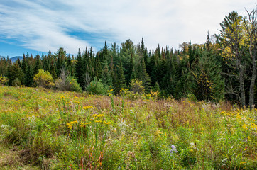 Fototapeta premium Fall foliage in the Adirondack Mountains