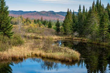 Fall foliage in the Adirondack Mountains