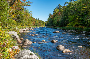 Fall foliage in the Adirondack Mountains