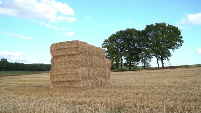 Pailles Images Browse 478 Stock Photos, Vectors, and Video Adobe Stock