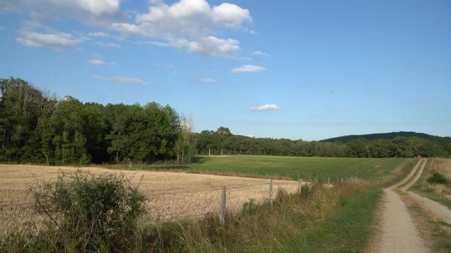 Un route de campagne borde un champs de bl&eacute; cl&ocirc;tur&eacute; par des piquets de bois et du fil barbel&eacute;, un ciel bleu  avec des petits nuages