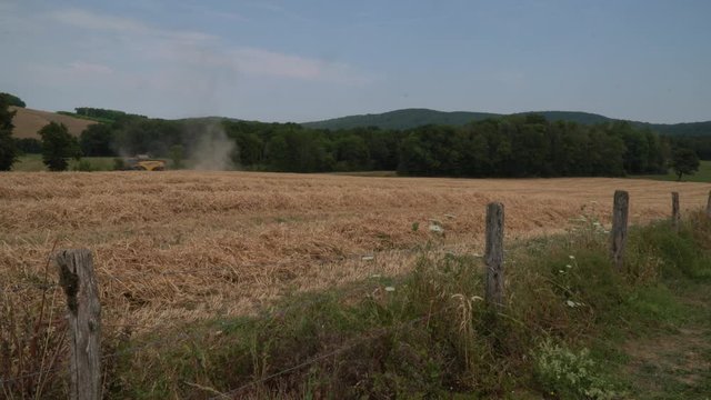 Un champs de bl&eacute; ou une machine agricole, une moissonneuse batteuse travaille dans le champs &agrave; r&eacute;colter du bl&eacute;