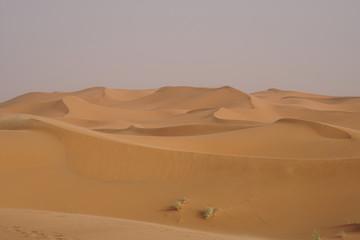 Fototapeta na wymiar Sahara desert, landscape with a beautiful sand dunes in Morocco.
