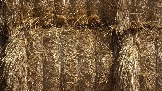 Ballots de paille stock&eacute;s apr&egrave;s une moisson de bl&eacute; en France