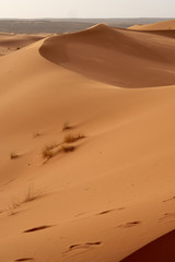 Fototapeta na wymiar Sahara desert, landscape with a beautiful sand dunes in Morocco.