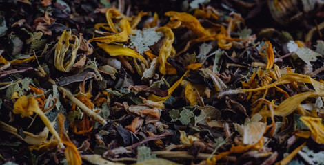 Texture of dry herbal tea with berries and leaves, ingredient drink abstraction background. Texture of dry herbal tea with berries