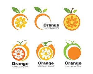 orange fruit icon vector logo illustration